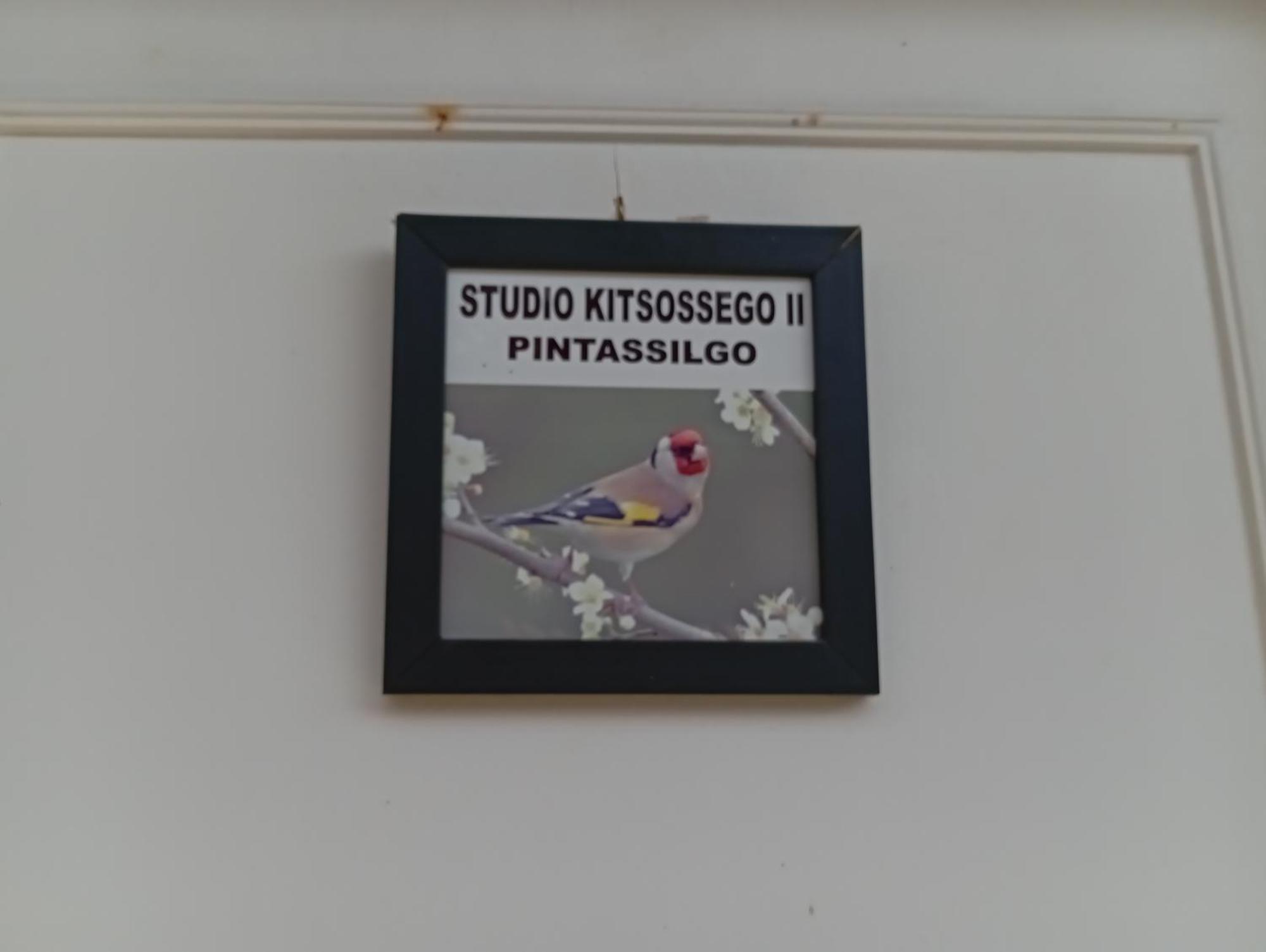 Studio Kitsossego กูรีตีบา ภายนอก รูปภาพ